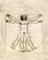 Proportions of the Human Figure - Vitruvian Man Poster Print by Leonardo Da Vinci - Item # VARPDX277250